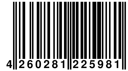 4 260281 225981