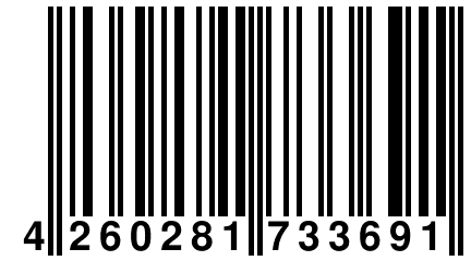 4 260281 733691