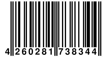 4 260281 738344