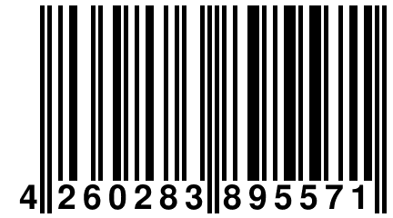 4 260283 895571