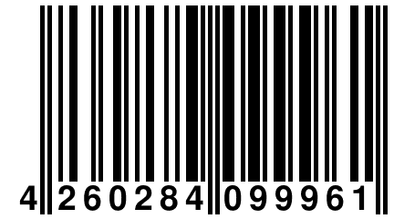 4 260284 099961