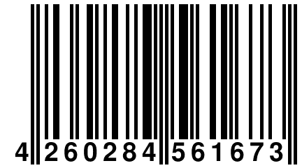 4 260284 561673