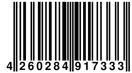 4 260284 917333