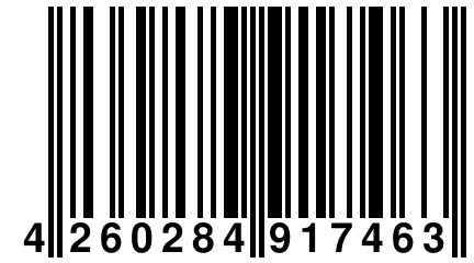 4 260284 917463