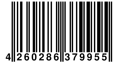 4 260286 379955