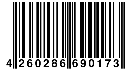 4 260286 690173