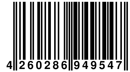 4 260286 949547