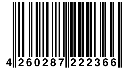 4 260287 222366