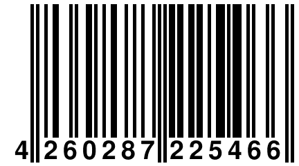 4 260287 225466