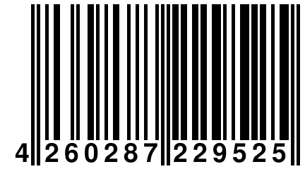 4 260287 229525