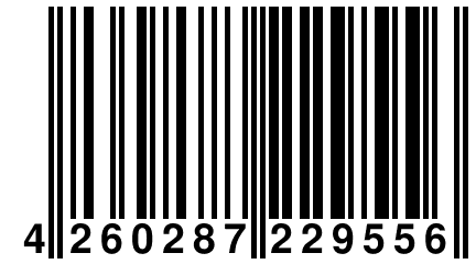 4 260287 229556