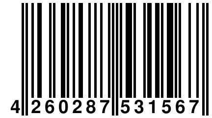 4 260287 531567