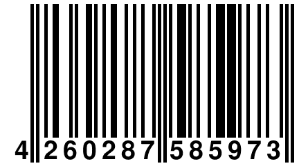 4 260287 585973