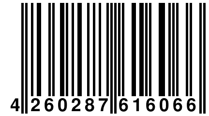 4 260287 616066