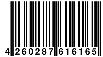 4 260287 616165