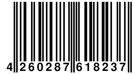 4 260287 618237