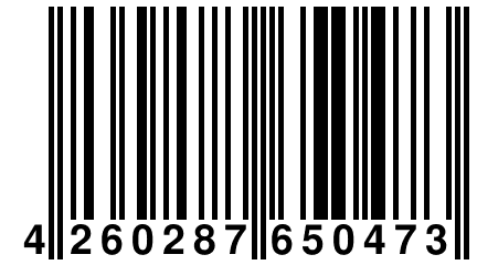 4 260287 650473