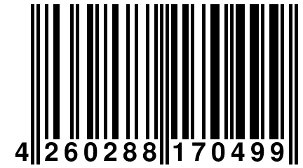 4 260288 170499