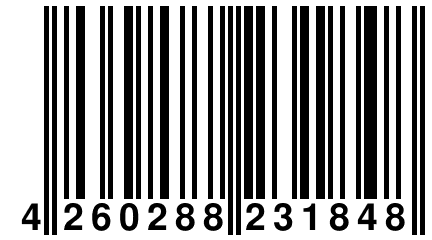 4 260288 231848