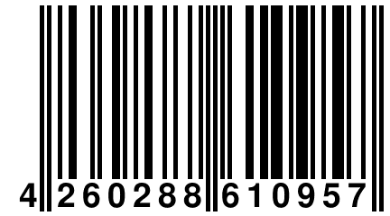 4 260288 610957