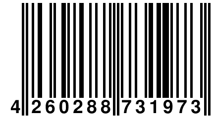 4 260288 731973