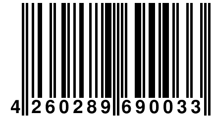 4 260289 690033