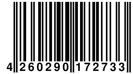 4 260290 172733