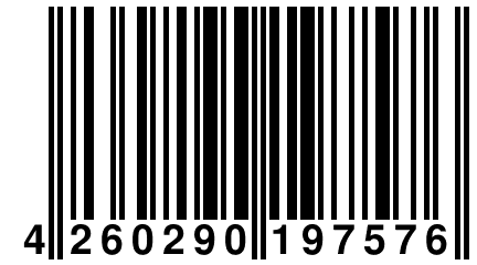 4 260290 197576