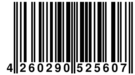 4 260290 525607