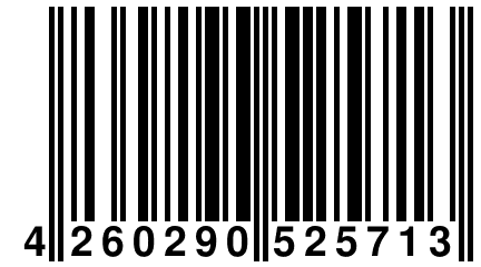 4 260290 525713