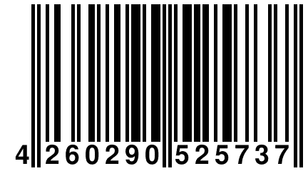 4 260290 525737