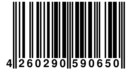 4 260290 590650