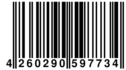 4 260290 597734