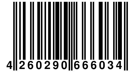 4 260290 666034