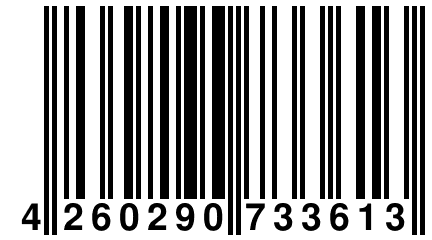 4 260290 733613