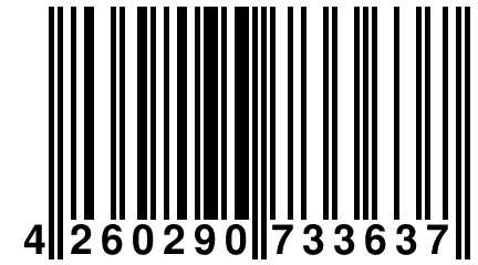 4 260290 733637