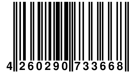 4 260290 733668