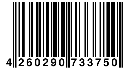 4 260290 733750