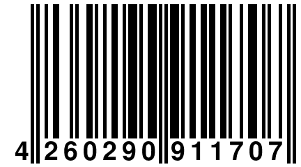 4 260290 911707