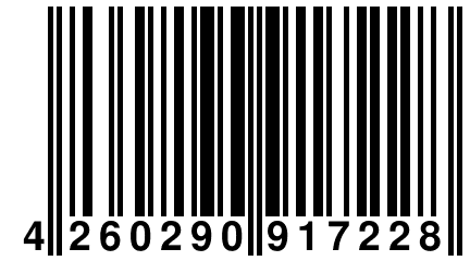 4 260290 917228