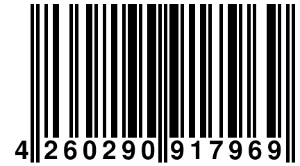 4 260290 917969