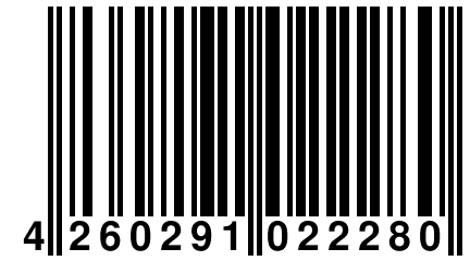 4 260291 022280