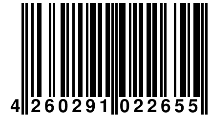 4 260291 022655