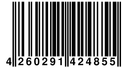 4 260291 424855