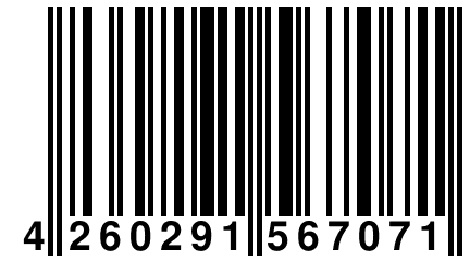 4 260291 567071