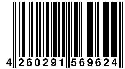 4 260291 569624