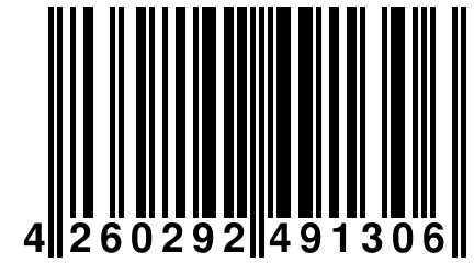 4 260292 491306