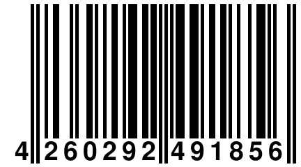 4 260292 491856