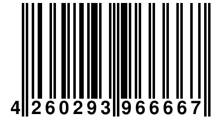 4 260293 966667