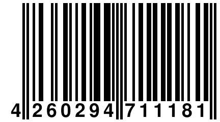 4 260294 711181